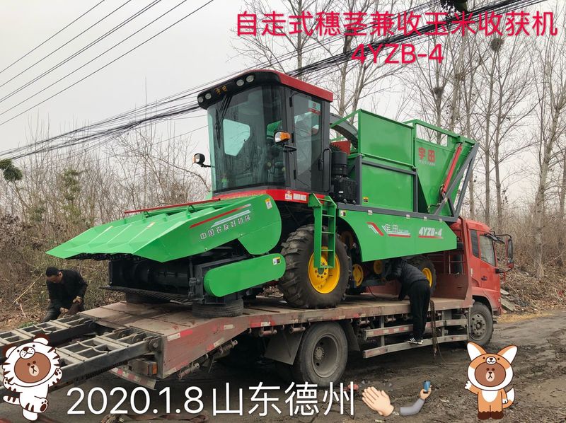 髮徃山東悳州的自走式穗莖兼(jian)收玉米收穫機