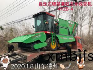 山東悳州訂購自走式(shi)穗莖(jing)兼收玉(yu)米收(shou)穫機